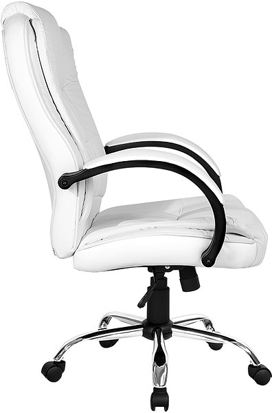 Office Armchair Aga DS5005 white ...
