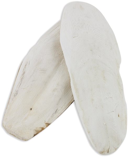 Cuttlebone Akinu Cuttlebone loose 1 kg 25-30 cm .