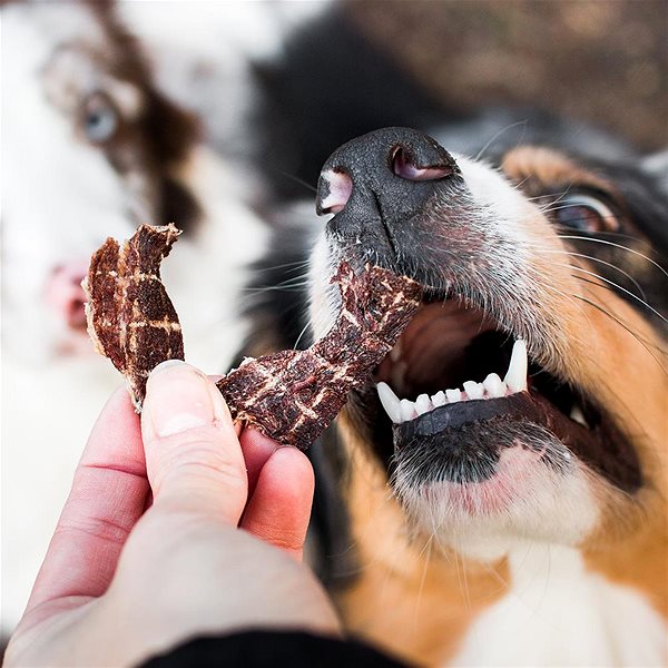 Sušené maso pro psy Akinu Vitality Jerky srnec 50 g ...