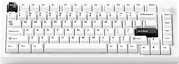 Gaming Keyboard AKKO MONSGEEK M1 V5 BOW (White) ...