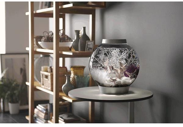 biOrb Classic 30 MCR white aquarium.