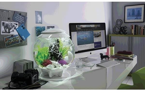 biOrb Halo 15 MCR white aquarium.