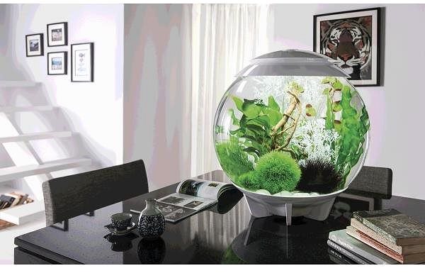 biOrb Halo 15 MCR white aquarium.