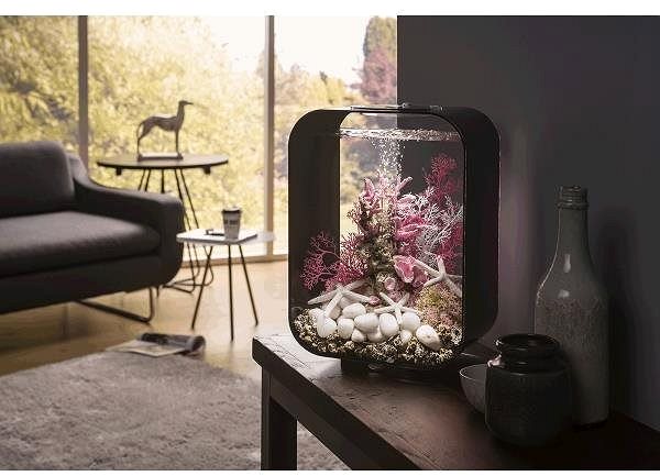 biOrb Life 15 MCR black aquarium.