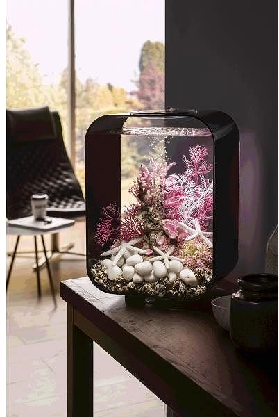 biOrb Life 15 MCR black aquarium.