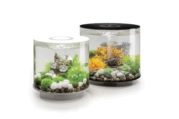 Aquarium biOrb Tube 15 LED white .