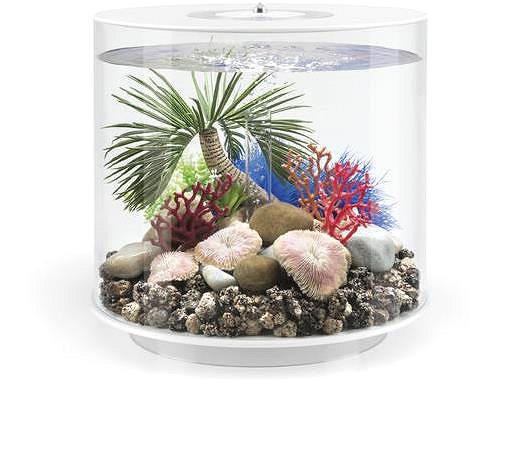 biOrb palm tree Seychelles S aquarium decoration.