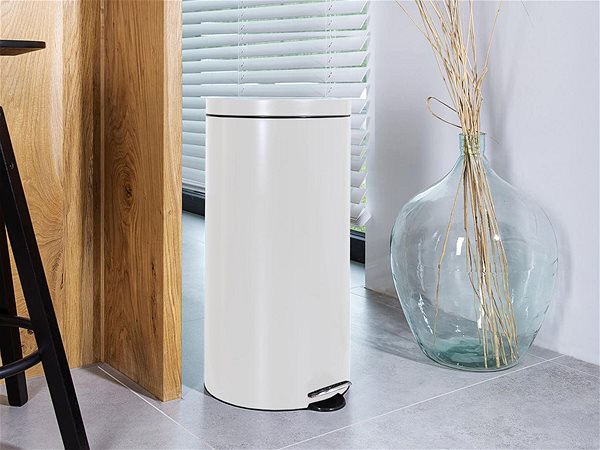 Rubbish Bin ALDA Pedal bin Hotel Safe Freedom Fresh, 30 l, white ...