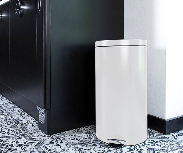 Rubbish Bin ALDA Pedal bin Hotel Safe Freedom Fresh, 30 l, white ...