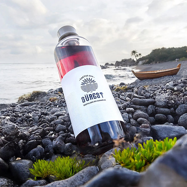 Bernardo's Cactus Sürest 0.7L 39% ABV gin.