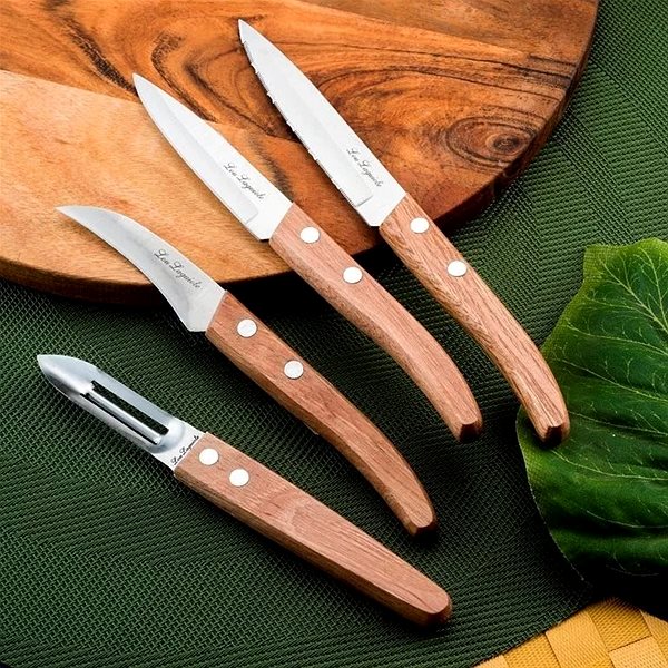 Sada nožov AMEFA Súprava nožov 4 ks, prírodné drevo Lifestyle