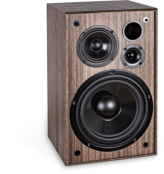Speakers AQ Tango 95 walnut Lateral view