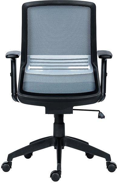Office Chair ANTARES Duke black / gray Back page
