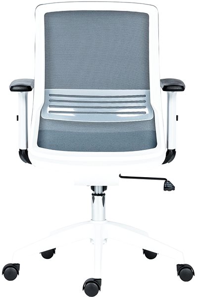 Office Chair ANTARES Duke white / gray Back page