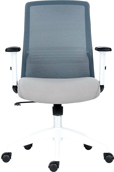 Office Chair ANTARES Duke white / gray Screen