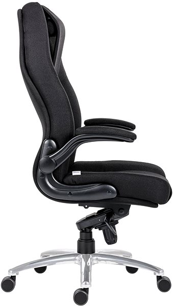 Office Armchair ANTARES Darwin Lateral view