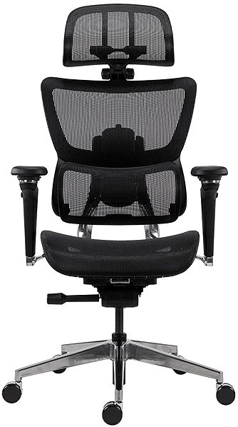 Office Chair ANTARES Glose, mesh, black ...