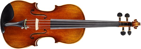 Geige BACIO INSTRUMENTS AVA100S ...