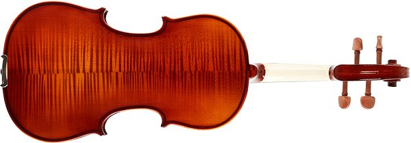 Geige Bacio Instrument GV103F ...