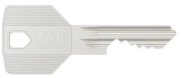Cylinder FAB 4.00/BDPNs 30+40 5 keys ...
