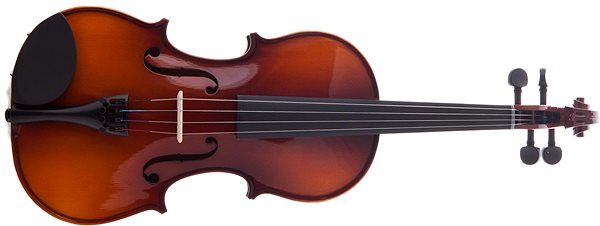 Geige Antoni ACV34 ...