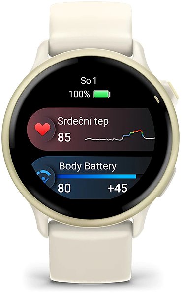 Smart Watch Garmin Vívoactive 6 Lunar Gold/Bone Band ...
