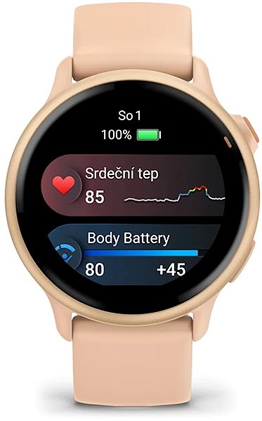 Smart Watch Garmin Vívoactive 6 Metallic Pink Dawn/Pink Dawn Band ...
