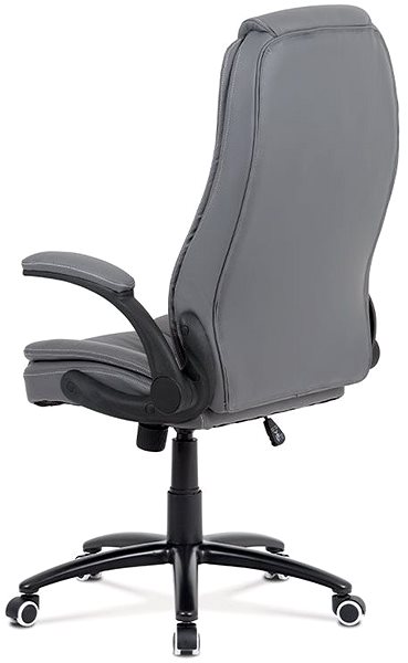 Office Chair HOMEPRO Furisio Back page