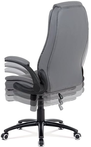 Office Chair HOMEPRO Furisio Features/technology