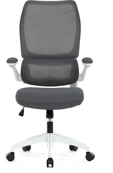 Office Chair HOMEPRO KA-C807 GREY, grey mesh ...