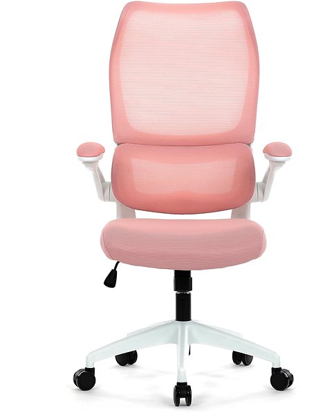 Office Chair HOMEPRO KA-C807 PINK, pink mesh ...