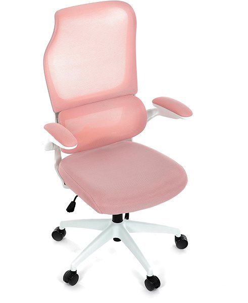 Office Chair HOMEPRO KA-C807 PINK, pink mesh ...