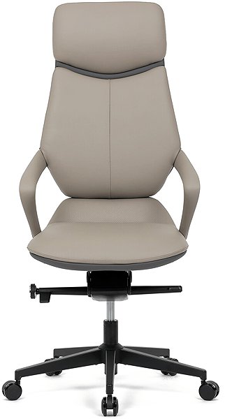 Office Armchair HOMEPRO KA-T8426 GREY, grey eco-leather ...