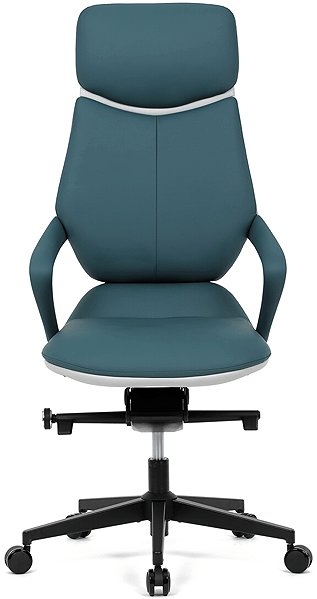 Office Armchair HOMEPRO KA-T8426 GRN, green eco-leather ...