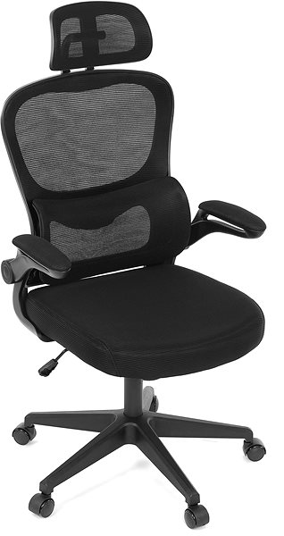 Office Chair HOMEPRO KA-Y336 BK, black mesh ...