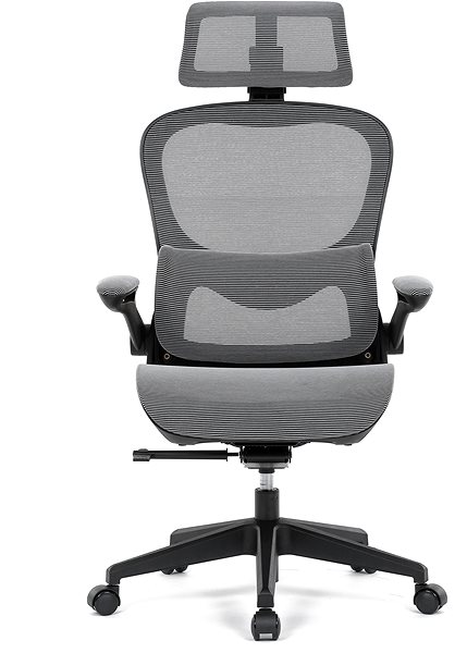 Office Chair HOMEPRO KA-Y356 GREY, grey mesh ...