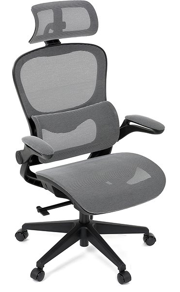 Office Chair HOMEPRO KA-Y356 GREY, grey mesh ...