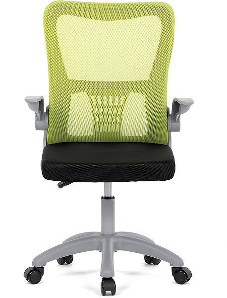 Office Chair HOMEPRO Kandor green ...