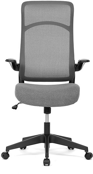 Office Chair HOMEPRO Avelar grey, black construction ...