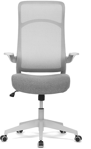 Office Chair HOMEPRO Avelar grey, grey construction ...