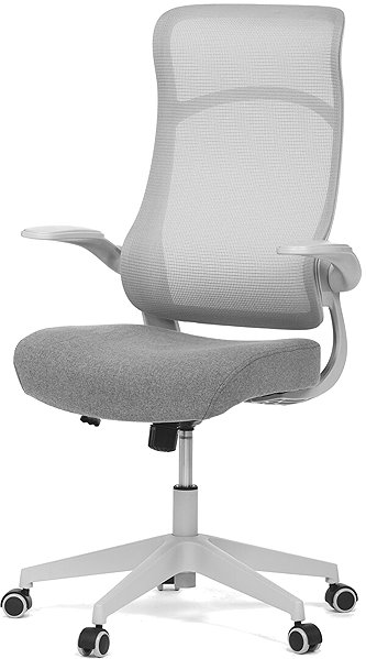 Office Chair HOMEPRO Avelar grey, grey construction ...