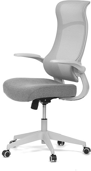 Office Chair HOMEPRO Avelar grey, grey construction ...