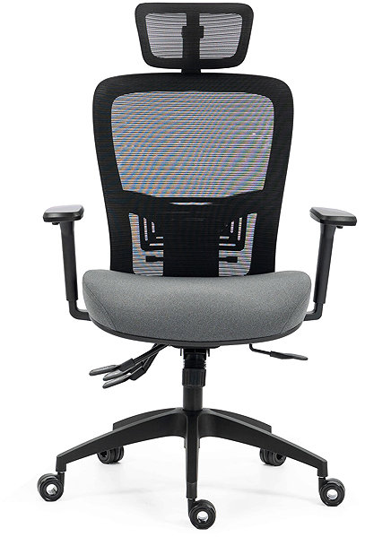 Bürostuhl HOMEPRO Axon Grau ...