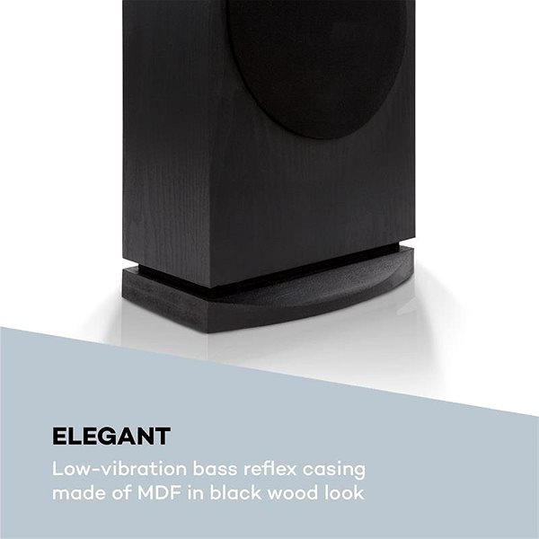 Speakers Auna Line 4707 Black Features/technology