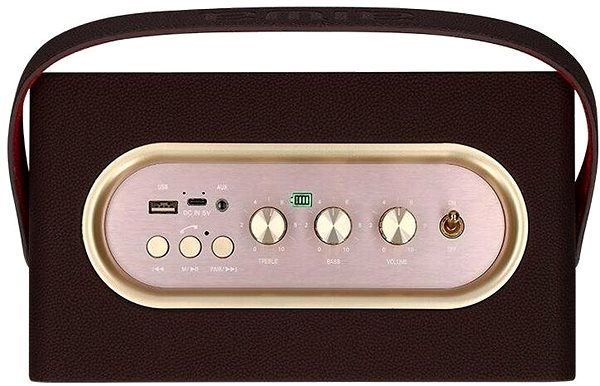 Bluetooth hangszóró AIWA MI-X175 Retro Heritage Lite arany Csatlakozási lehetőségek (portok)