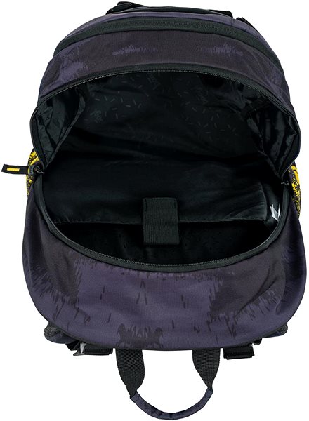 School backpack Baagl School backpack Skate Dune .