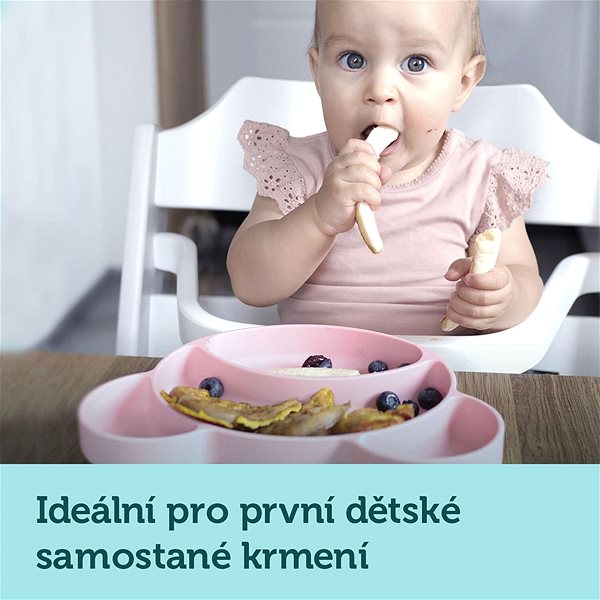 Gyerek tányér Canpol Babies Osztott szilikon tányér tapadókoronggal - mackó, türkiz ...