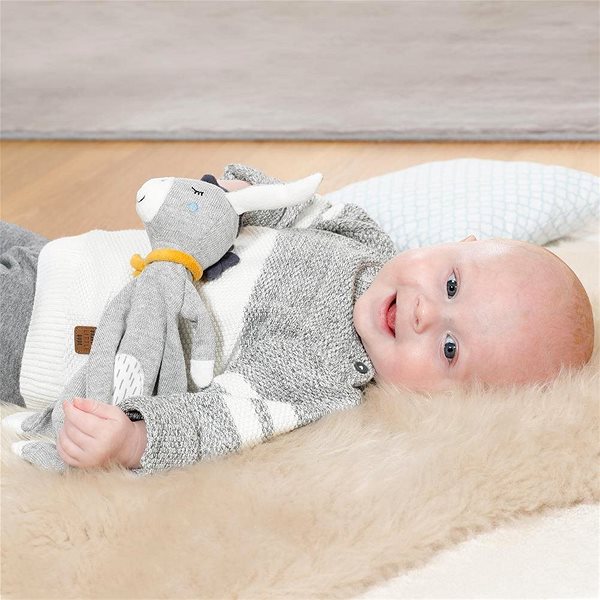 BABY FEHN Lullaby Donkey .