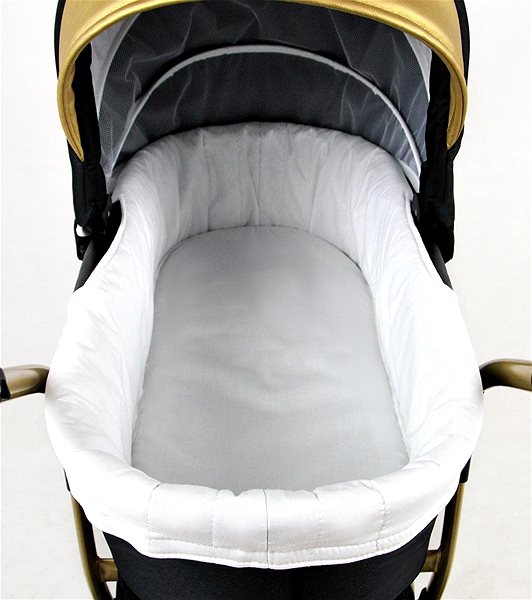 Baby Buggy RAF-POL Gold Lux Silver Features/technology