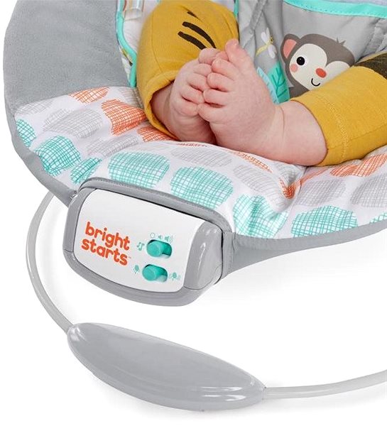 Baby Rocker Bright Starts Rocker with Whimsical Wild Melody 2019 Features/technology